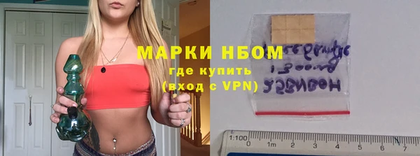 прущий лед Инсар