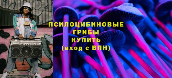прущий лед Инсар