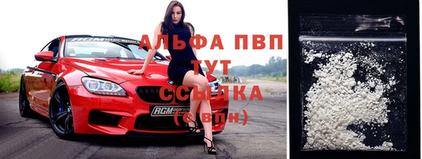 прущий лед Инсар