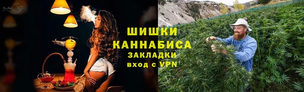 прущий лед Инсар