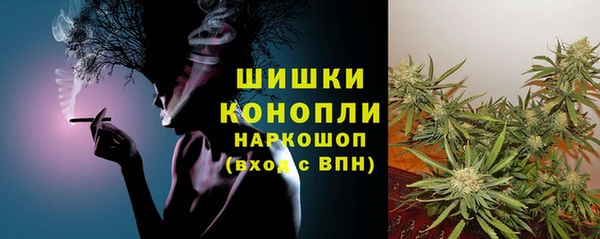 прущий лед Инсар