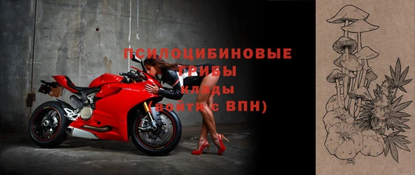 прущий лед Инсар