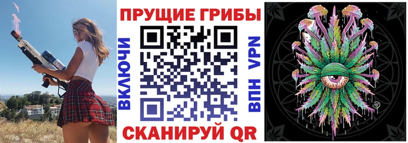Купить закладки  Камбарка  Галлюциногенные грибы GOLDEN TEACHER 
